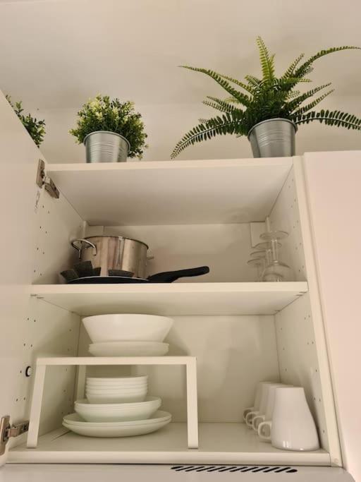 Thekeystudio, Viva Italia Con Giardino, In 2 Minuto Dal Mare Apartment